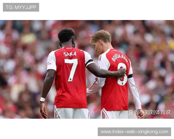 萨卡弧顶远射阿森纳攻破对手大门